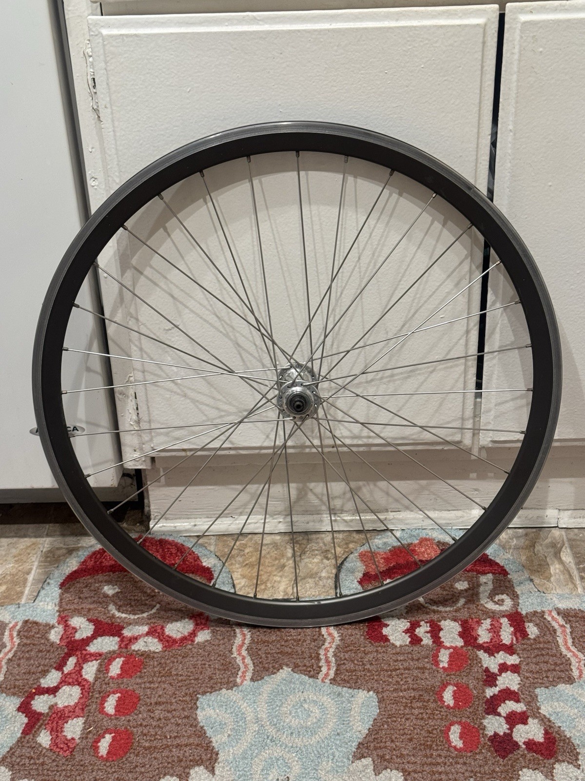 650c Velocity Deep V Rim – 32 Hole – Made in Australia -Campagnolo Hub