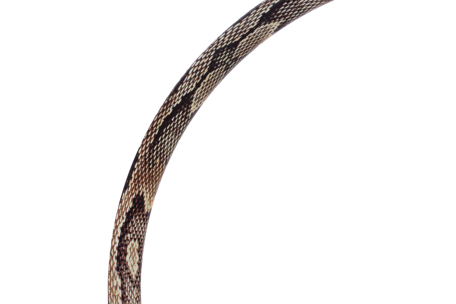 Velocity Deep V Alloy Rim 700c 32H Snakeskin NMSW Australia Bike *RARE* NEW NOS