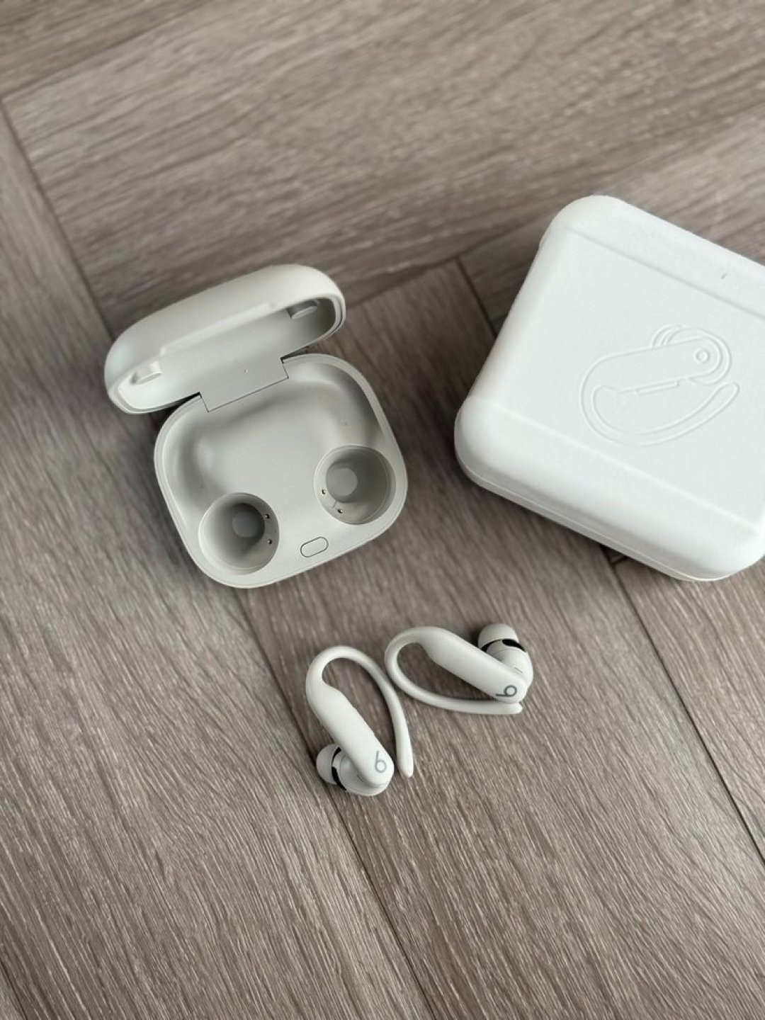 Beats Powerbeats Pro 2 Noise Cancelling Earbuds Headphones – Grey