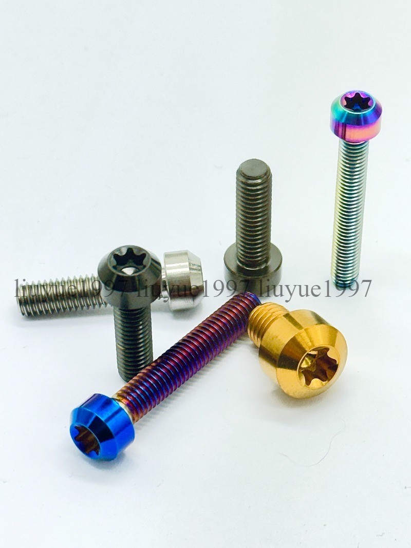 Titanium Bolt M4 M5 M6*10 15 20 25 30 35 40 -100mm Round Head Torx Screw Grade 5