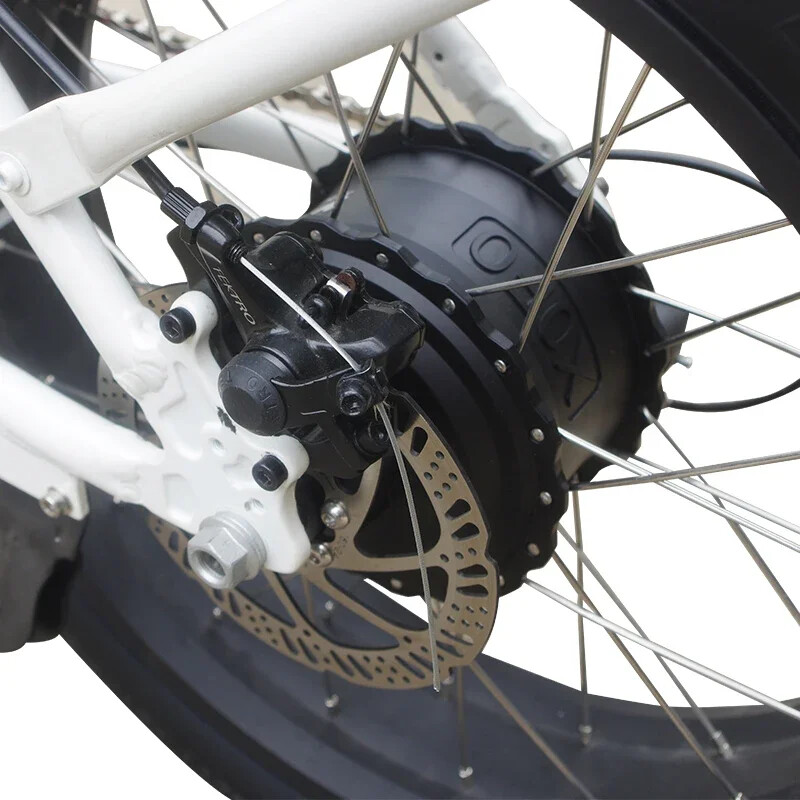 48V 1000W Fat Tire Freewheel Rear Hub Motor for Snow E-bike 20/26er Wheel