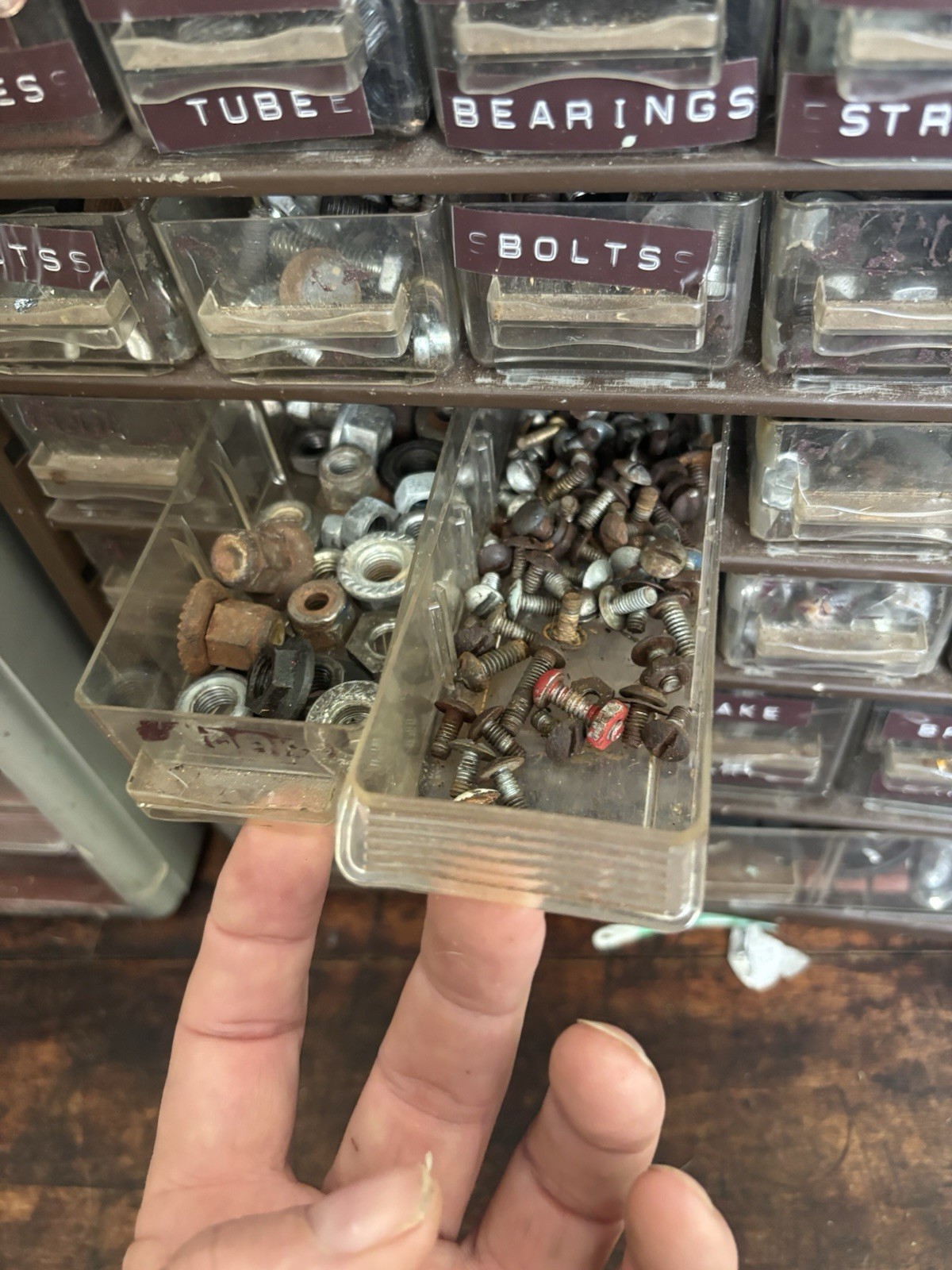 Vintage Bike Tinkerers Nut And Bolt Lot-Some Schwinn-Organizers Not Included