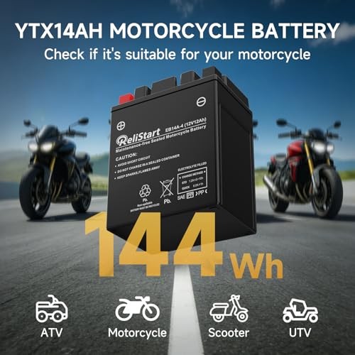 Motorcycle Battery YTX14AH-BS, EB14A-4, 12V 12Ah, 220 CCA, Powersport