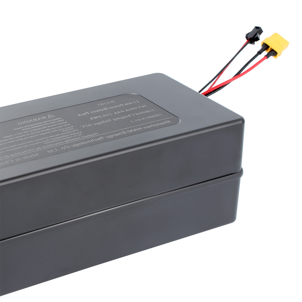 36V 6AH Ebike Rechargeable Lithium Battery Whit BMS + XT60 350W Motor