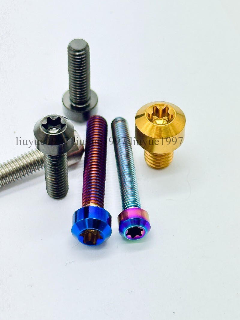 Titanium Bolt M4 M5 M6*10 15 20 25 30 35 40 -100mm Round Head Torx Screw Grade 5