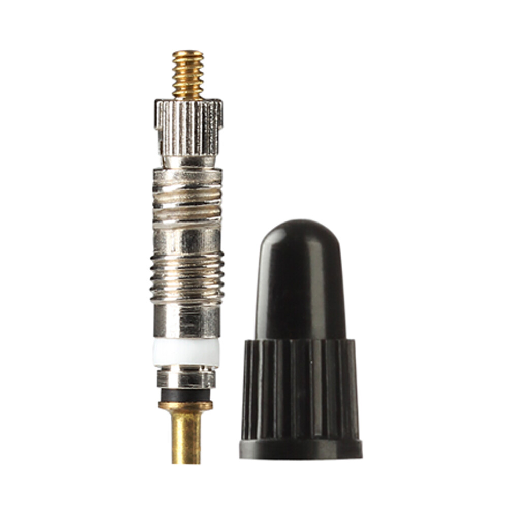 RocRide Presta Valve Cores with Removal Tool and Plastic Caps (10-Pack) Silver