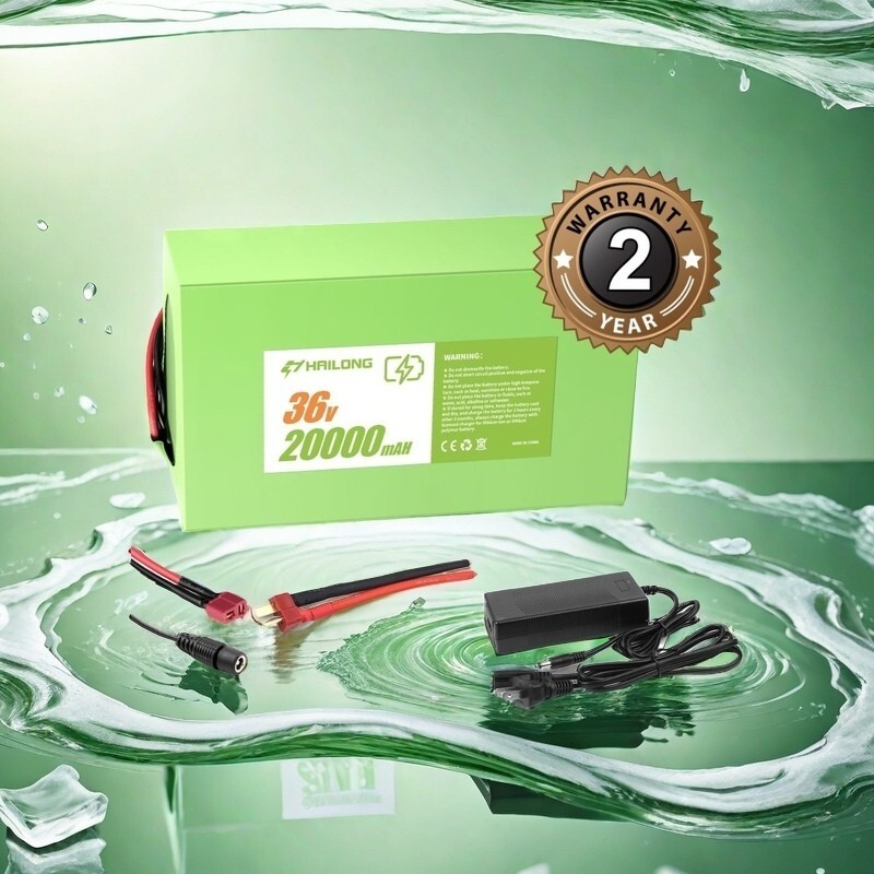 New 48v 20ah battery for 48V 200W 500W 750W 1000W 1200W Battery with charger