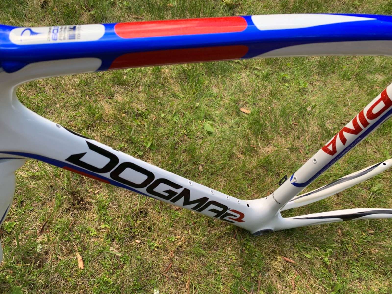 New! Pinarello Dogma 2 55cm frame + Selle Italia 3D + Most Talon 120 x 460