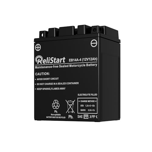 Motorcycle Battery YTX14AH-BS, EB14A-4, 12V 12Ah, 220 CCA, Powersport