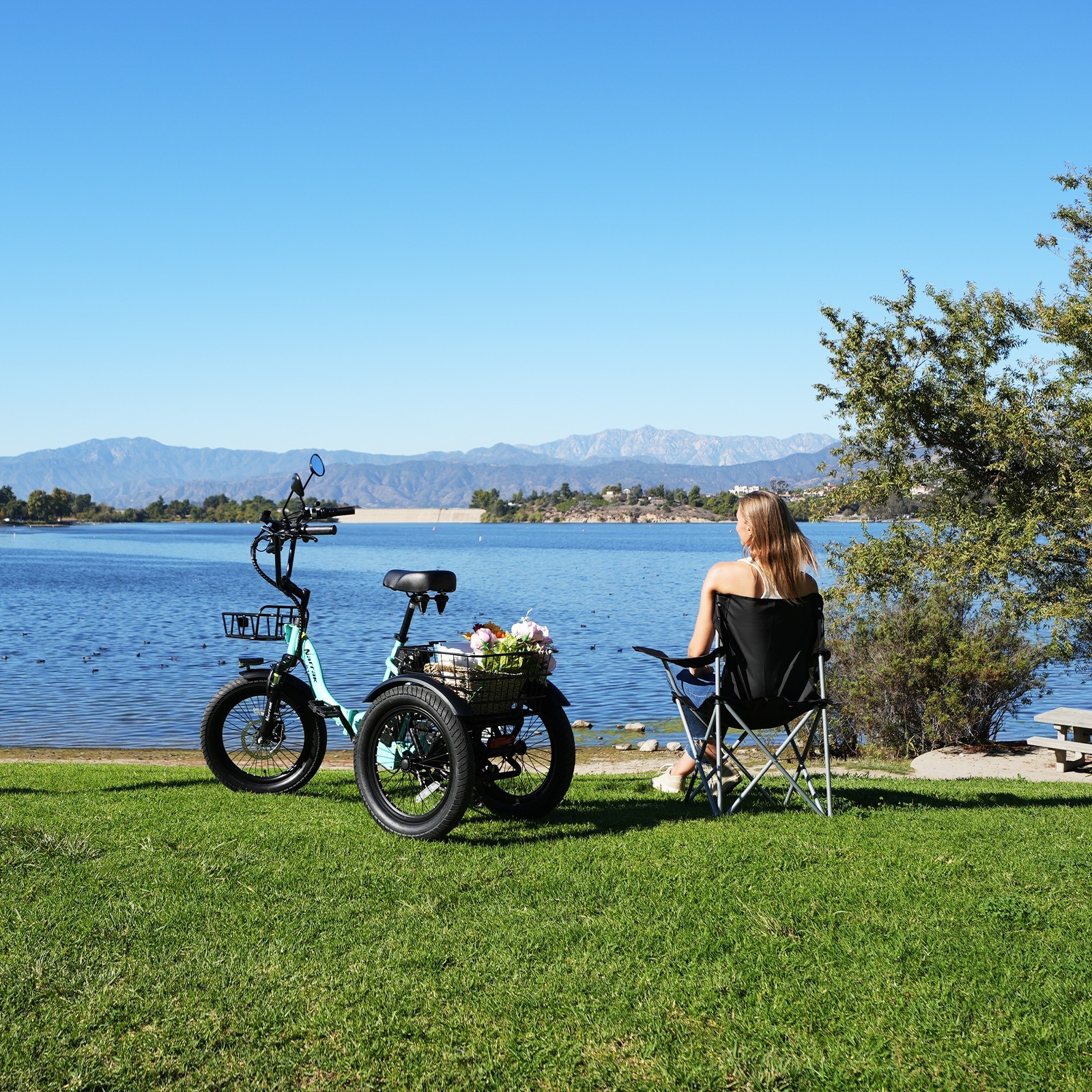 NARRAK Fat Tire Folding Electric Tr-ike Peak for Adults 13Ah Shimano 7-Speed N3