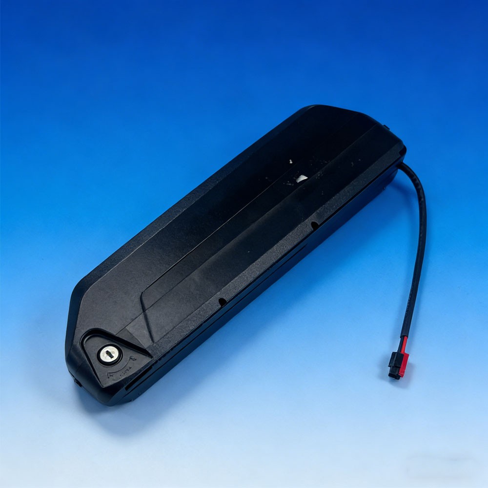 36V 15Ah 0-1000W Battery for Electric Motor 540Wh Lithium Battery