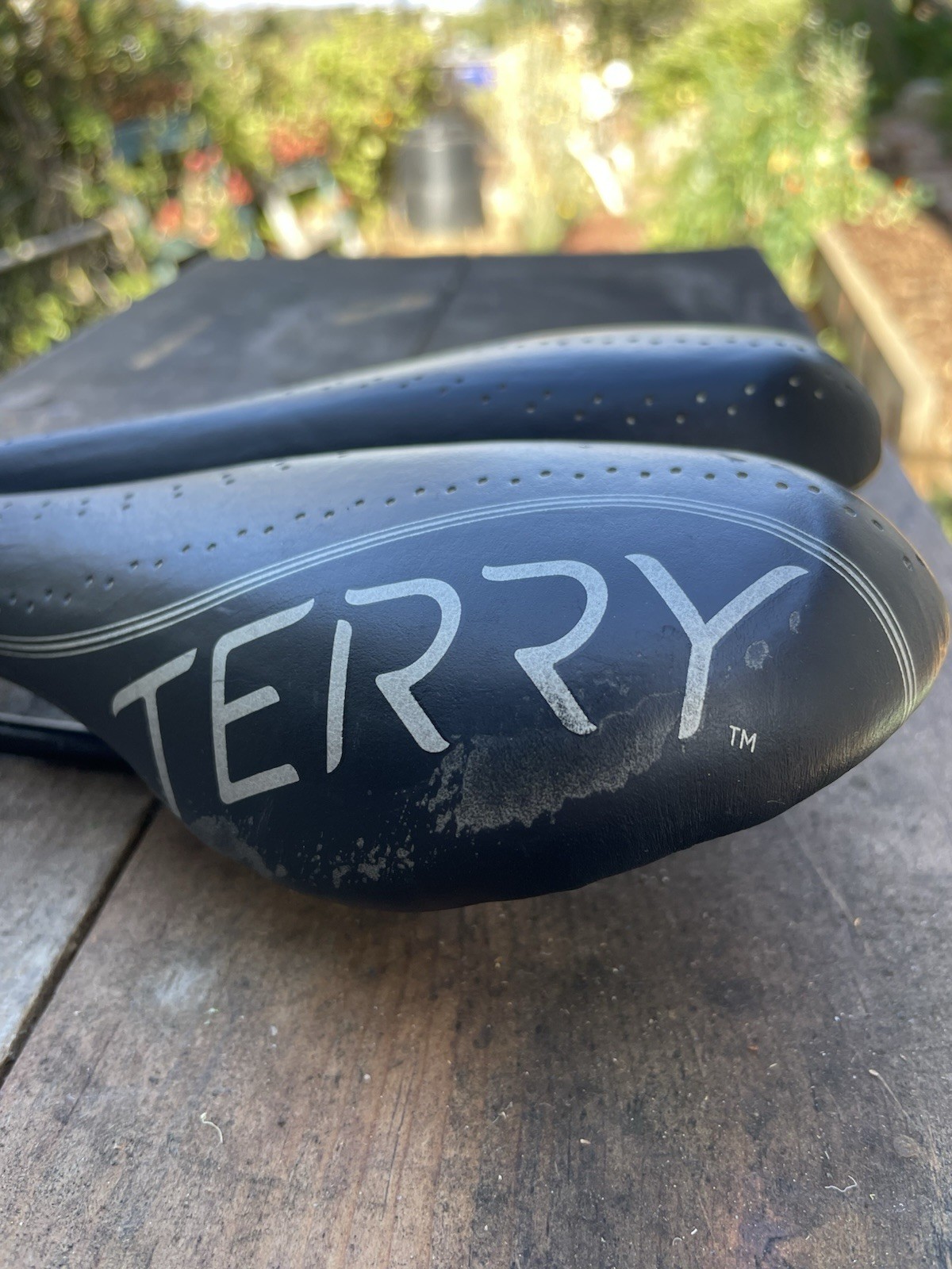 Terry Women’s FLX Gel Bike Saddle – Comfortable Flexible Center Cutaway Seat