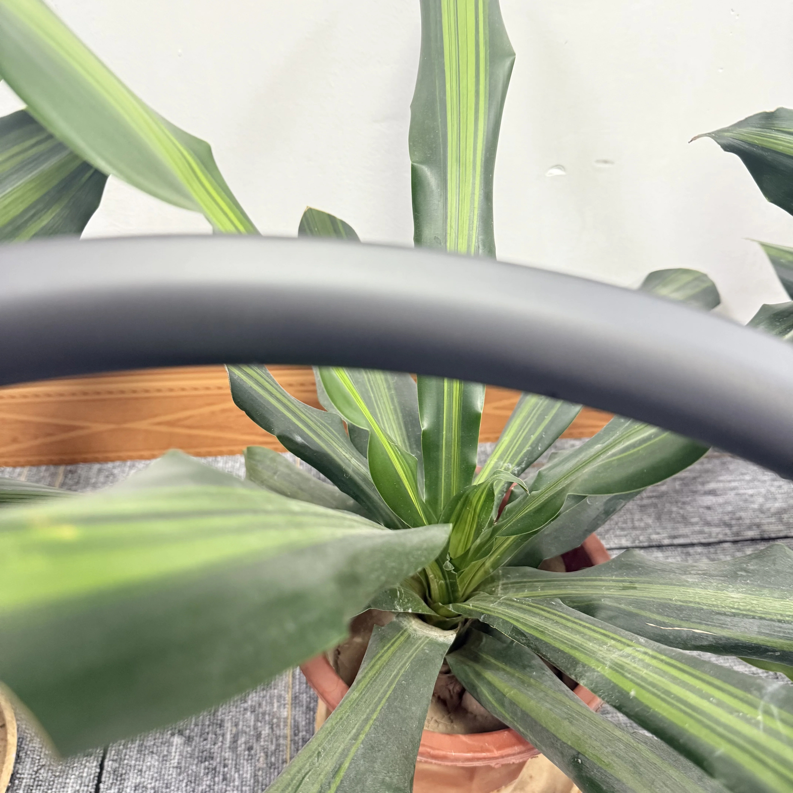29er MTB Carbon Rims Asymmetrical Tubeless 33mm Width 25mm Depth 28H Wheel UD