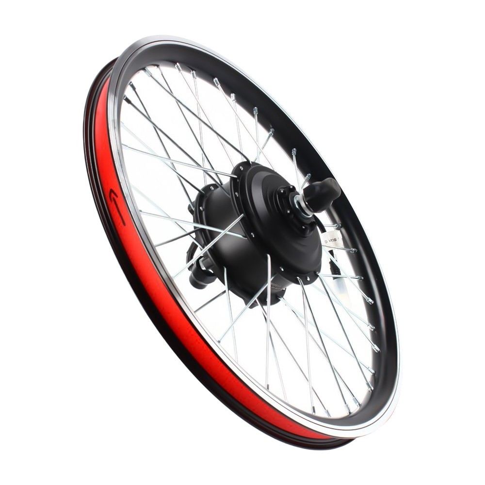 20″ Inch Front Wheel 36V Electric Bicycle Ebike Conversion Kit Hub Motor Cycling