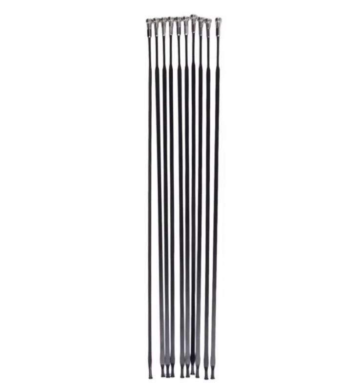 10pcs Spoke Straight Flat Spokes With Spoke Cap For MAVIC CR AK EQ Wheelset Bike