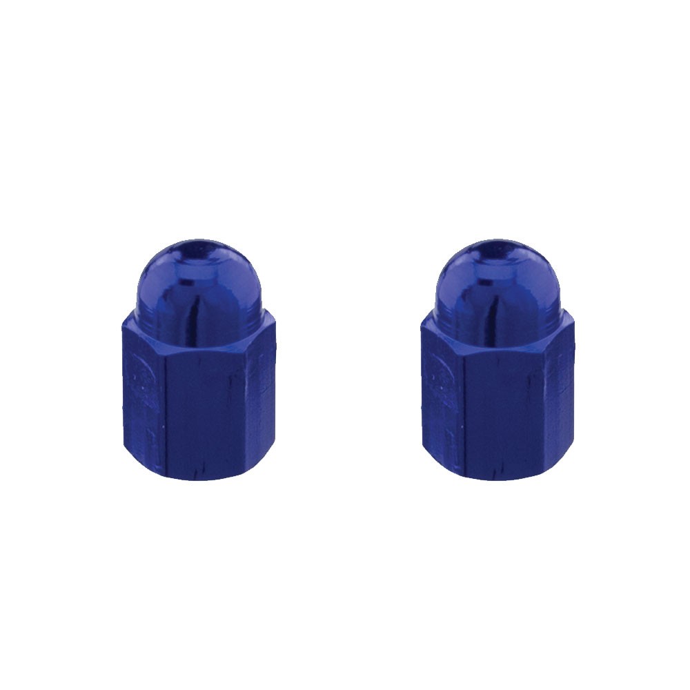 Hex Dome Valve Caps Lowrider Bicycle Cruiser BMX MTB Bike Schrader MANY COLORS