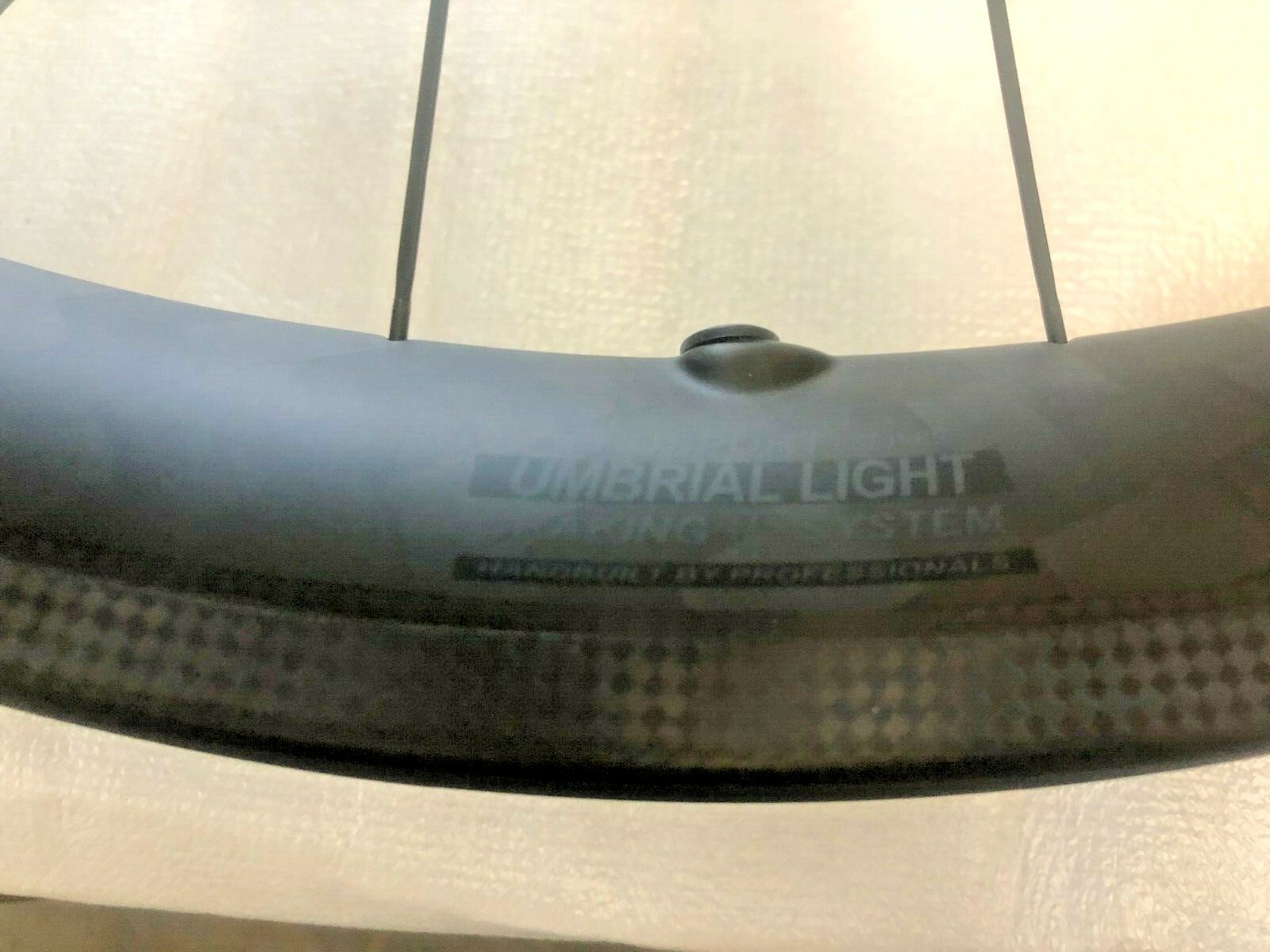 BRAND NEW Edco Carbon Fiber 45mm Tubular Umbrial REAR Wheel ONLY in Black!