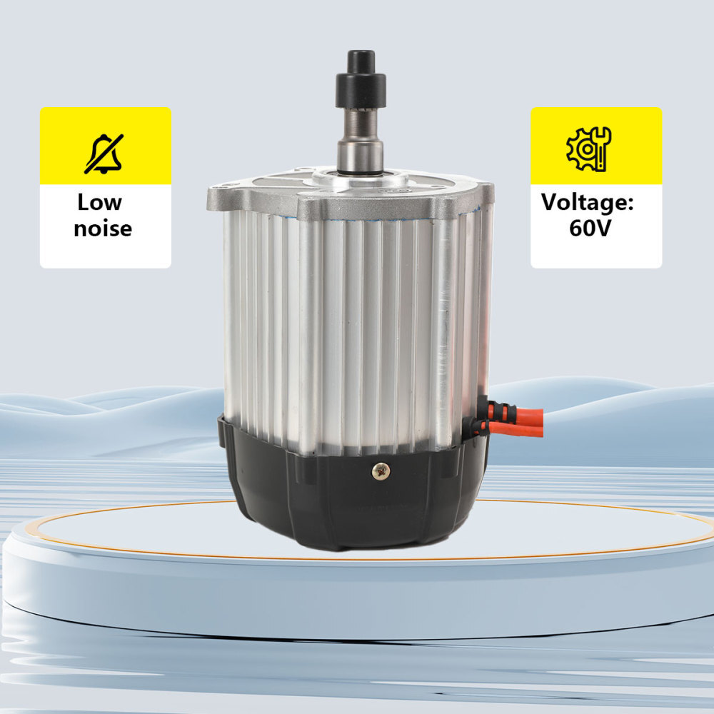 60V 1800W Electric Brushless Gear Motor Electric Tricycle Engine Drive Motor