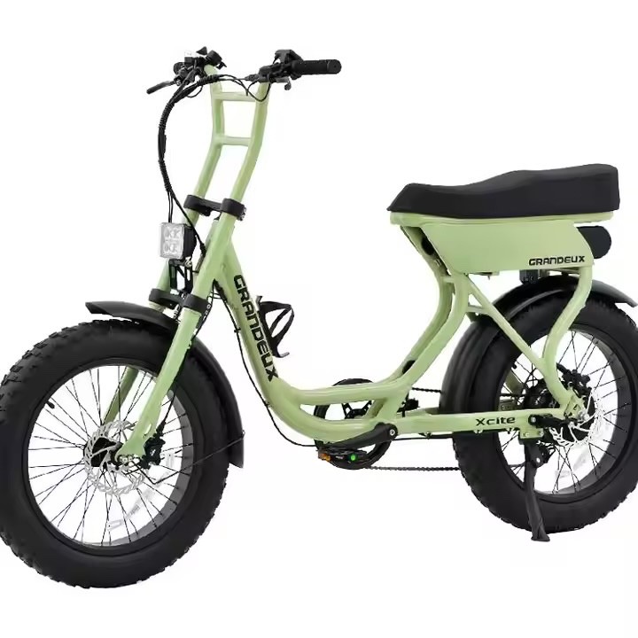1000w 2000w 3000w 5000w fat wheel ebike 72v 40ah daul motor electric mountain bi