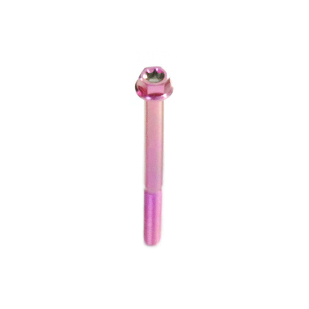 Titanium Screws M6X10-120mm Motorcycle Fastener Bolt Rose pink/Blue purple/Black