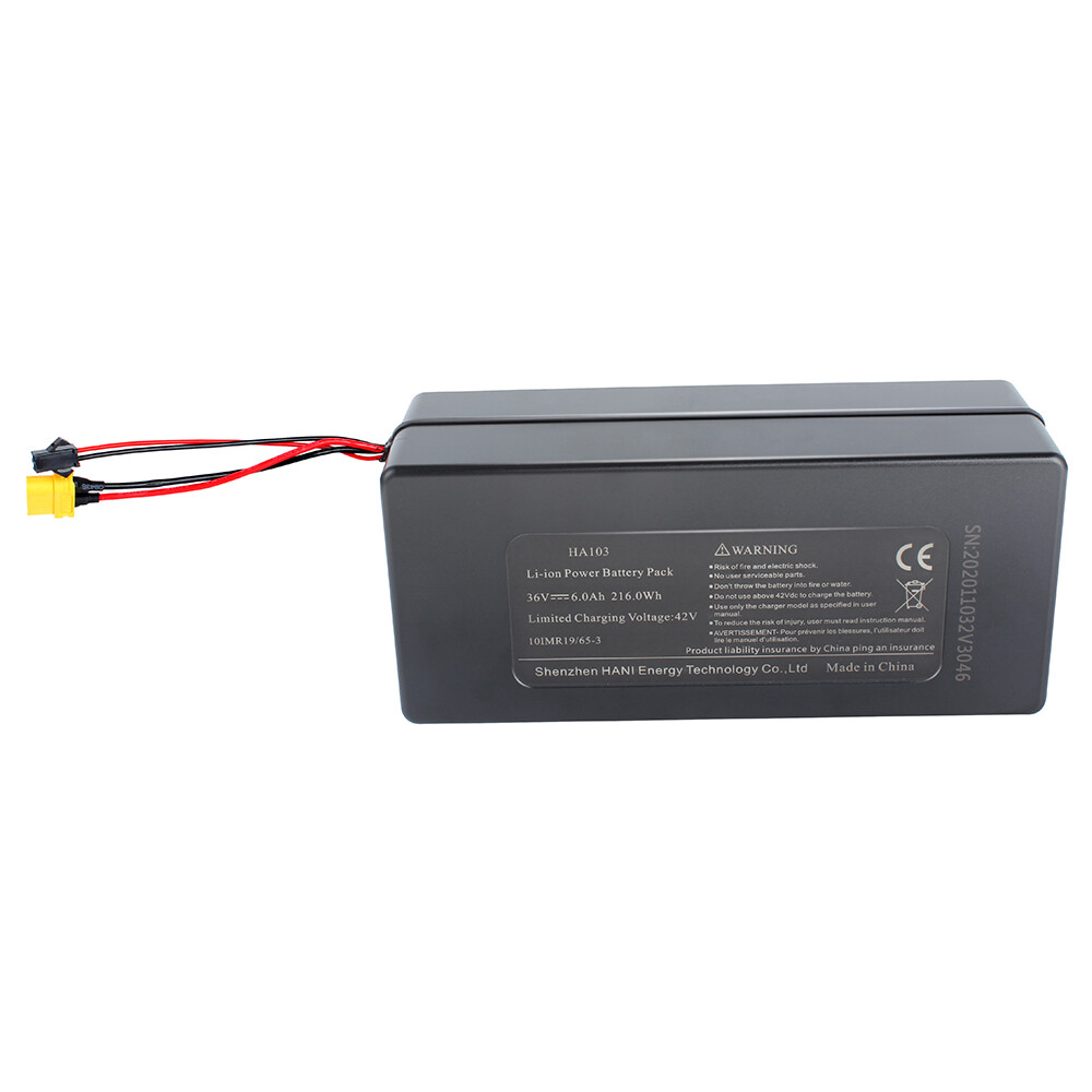 36V 6AH Ebike Rechargeable Lithium Battery Whit BMS + XT60 350W Motor