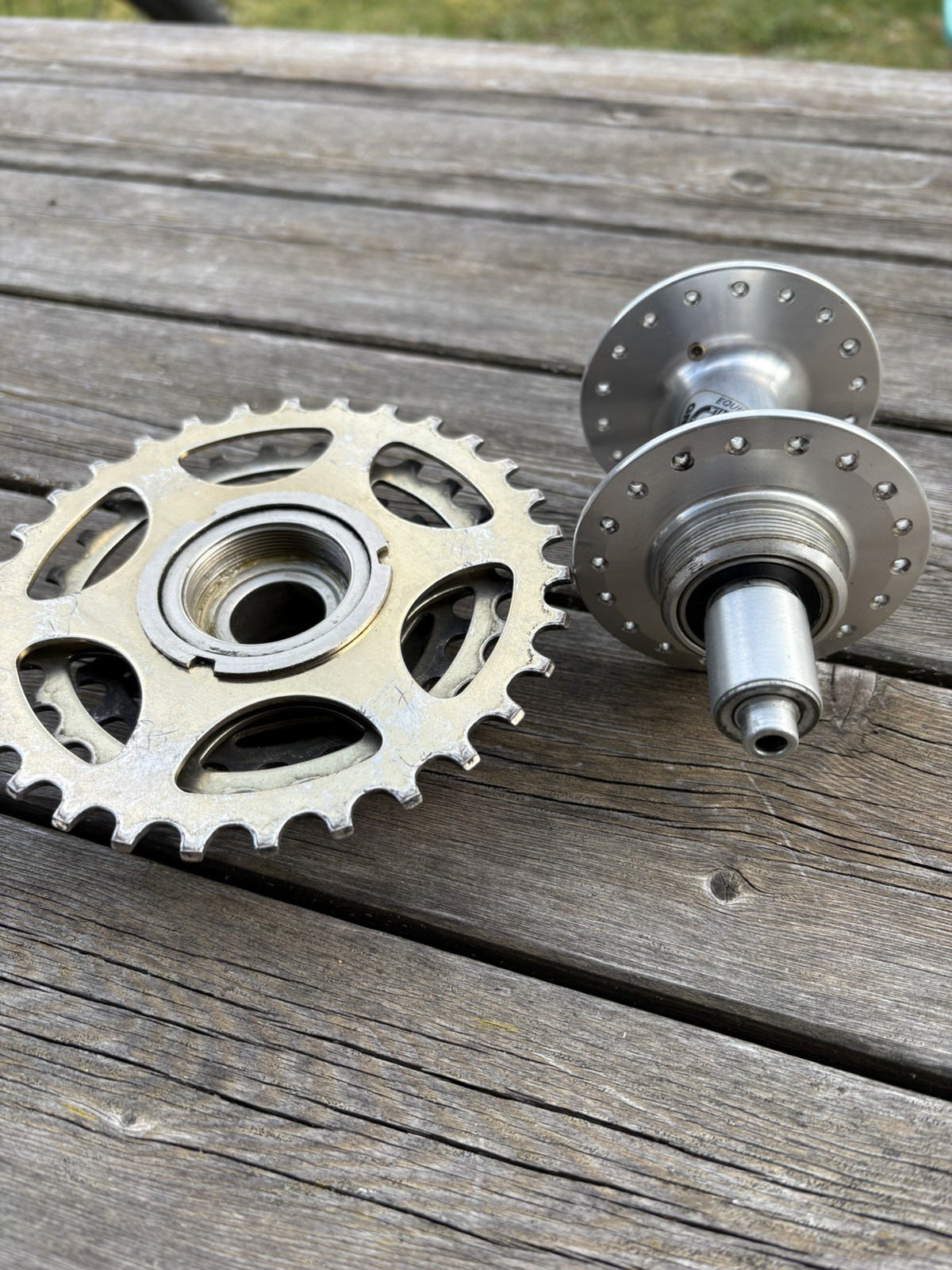 WTB Wilderness Trail Bikes Classic Grease Guard Rearhub + Dura Ace Freewheel