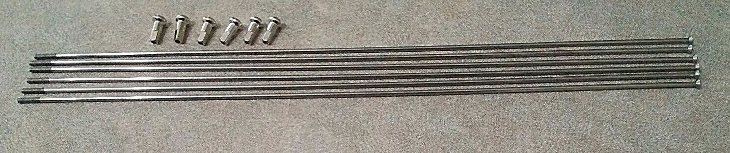 6 DT SWISS CHAMPION STRAIGHT PULL SS SPOKES 278mm x 2.0mm / 14ga w/ NIPPLES