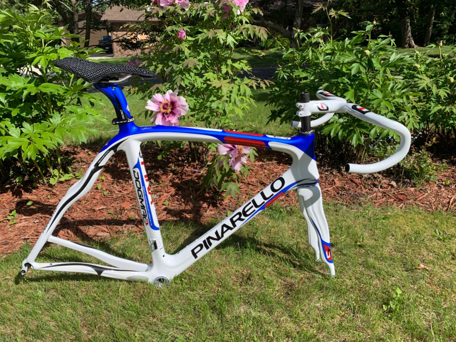 New! Pinarello Dogma 2 55cm frame + Selle Italia 3D + Most Talon 120 x 460