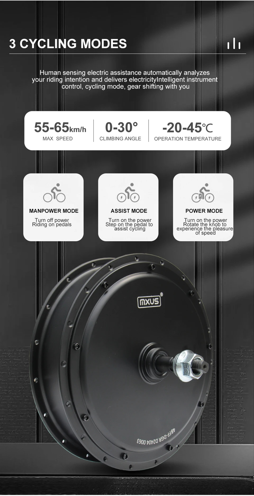 48V 2000W Mountain E-bike Gearless Brushelss Rear Motor 20-29Inch 700C 3.0 Tire