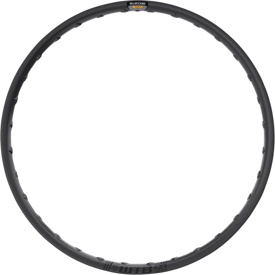 CZR Rim – WTB CZR i30 Rim – 29″, TCS Tubeless, Disc, Black, 28H – Rims