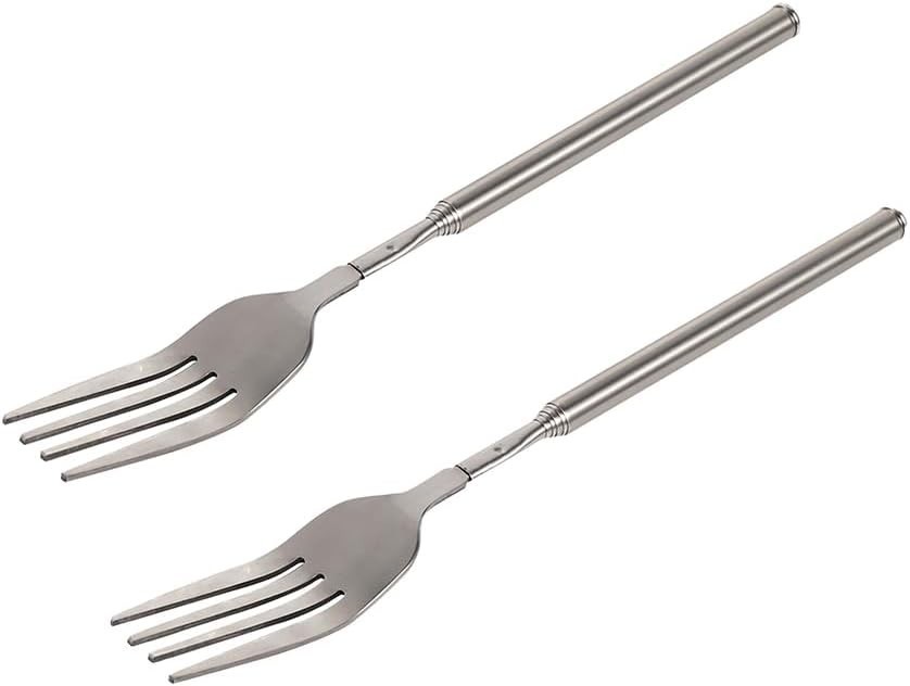 Extendable Fork – 8.7 to 25.4 Inch Long, Telescopic & Retractable for BBQ, Di…