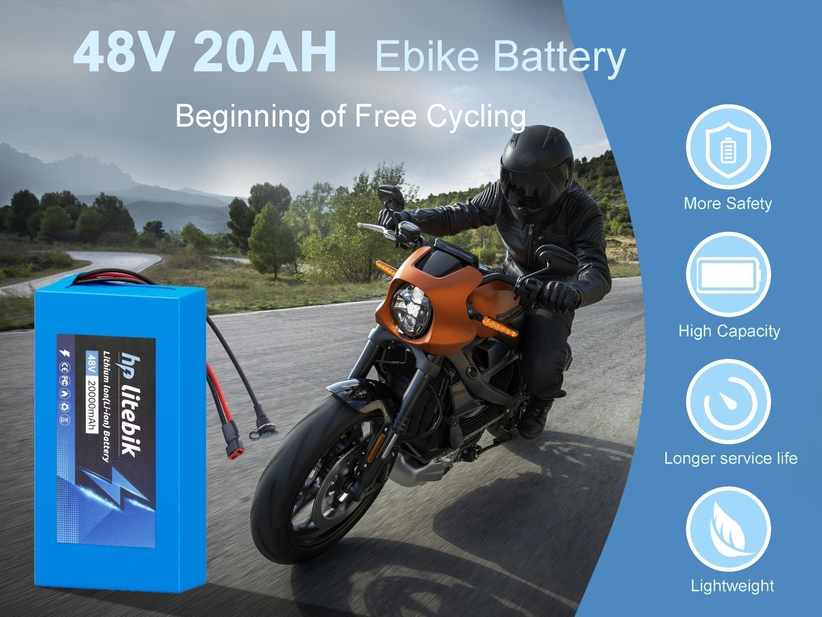 48V Ebike Battery 8AH/10AH/14AH/20AH bicycle lithium battery 200W-1200W Motors