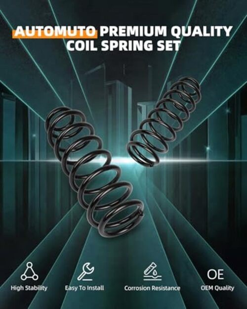 2PCS Rear Suspension Coil Spring Set Compatible with 2010-2012 for Ford