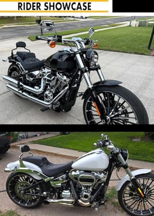 Detachable Hardware Backrest Sissy Bar Upright Gloss Black+Docking Kit