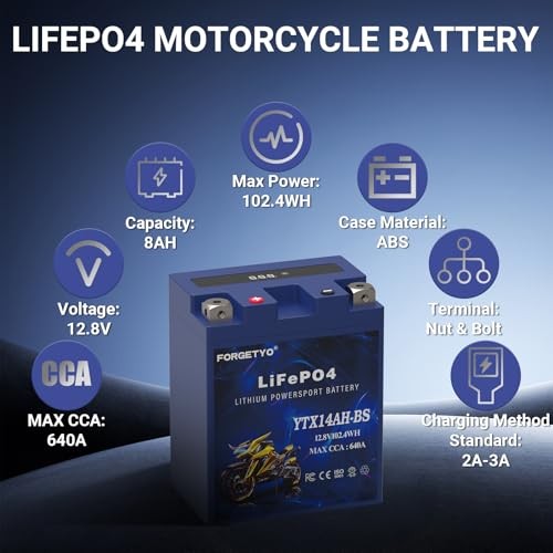Lithium Motorcycle Battery, YTX14AH-BS 12V 8AH 640A LiFePO4 YTX14AH-BS Blue