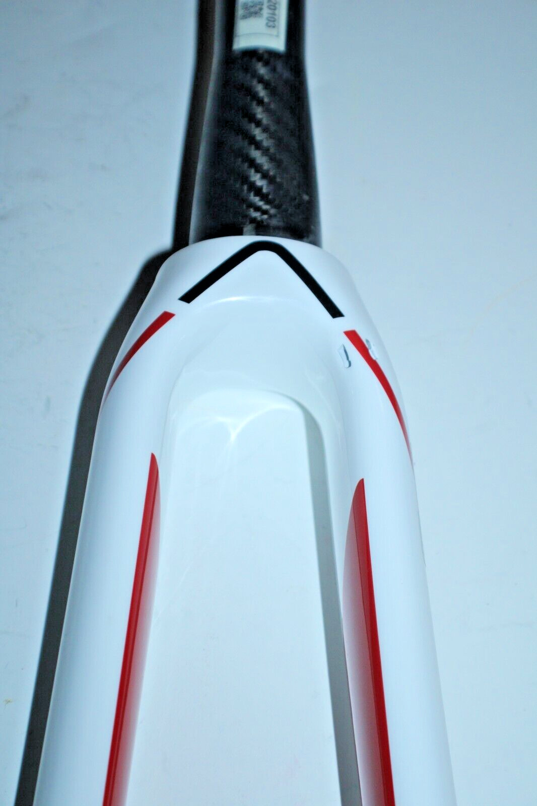 Trek Carbon Racing Road Bike Fork 700c Tapered 270mm 15mm Thru-Axle 160mm Disc:)