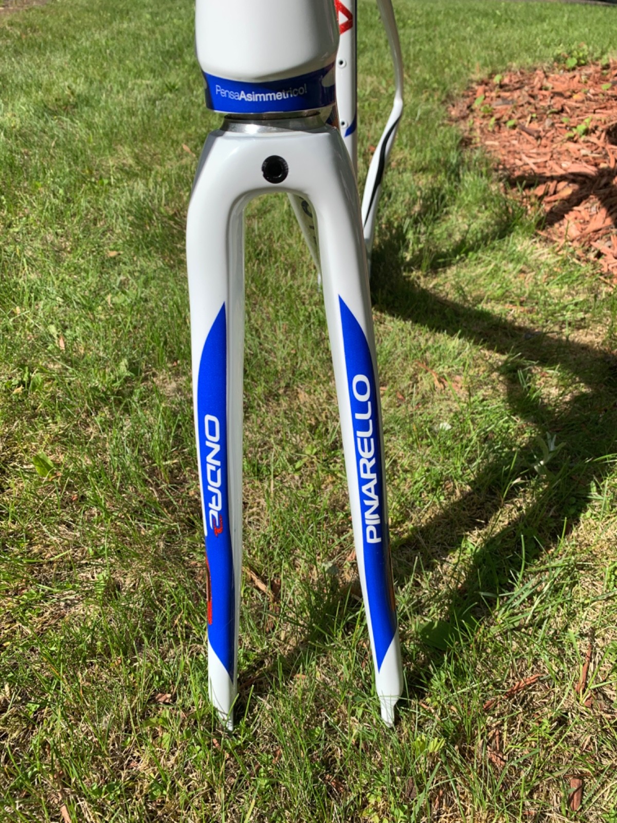 New! Pinarello Dogma 2 55cm frame + Selle Italia 3D + Most Talon 120 x 460