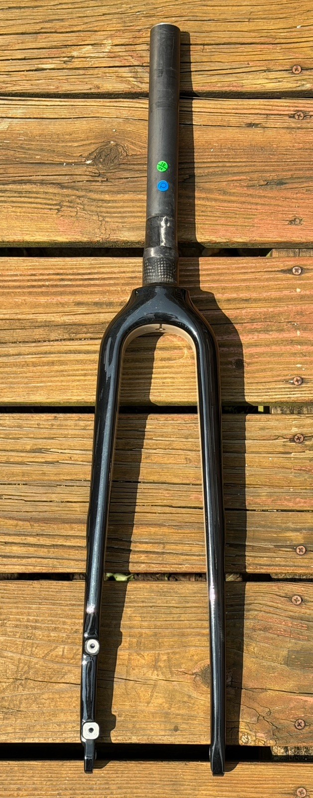 Giant Revolt Advanced Carbon Front Fork 255mm Steer Tube