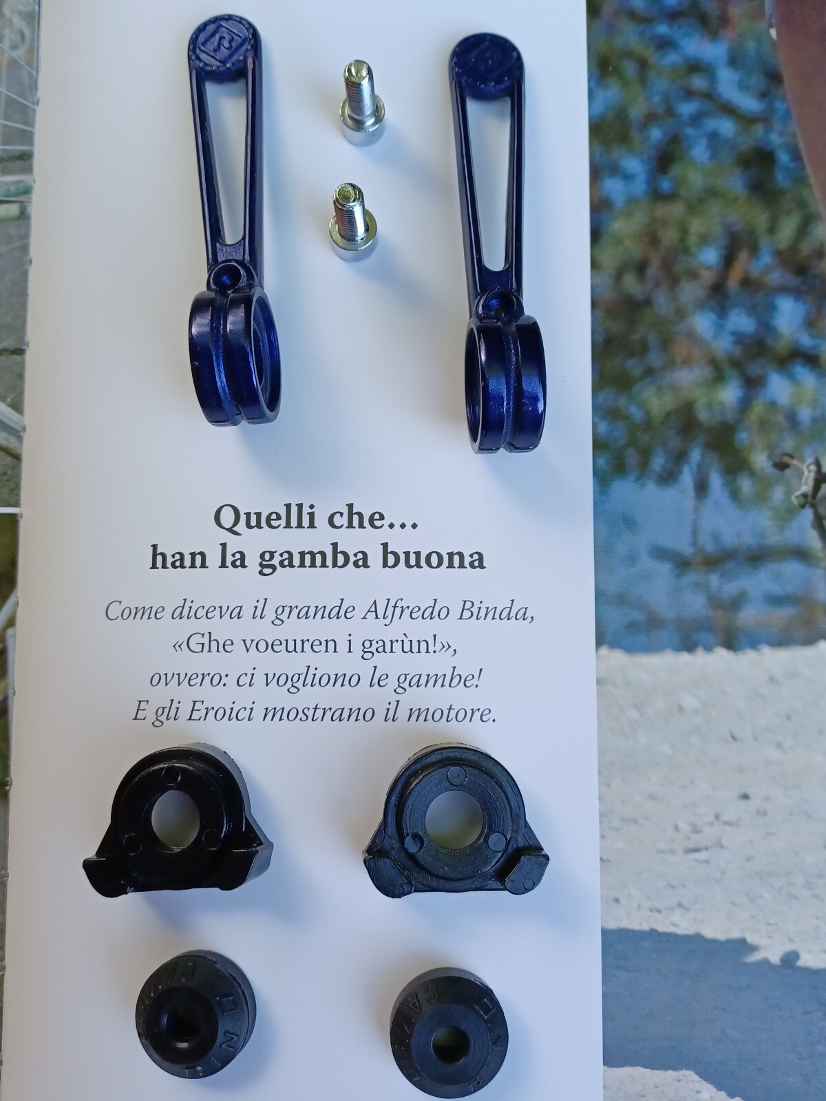 Nos L’Eroica Colnago Blue Anodized Shifters Shifters Shifters Shifters Shifte…