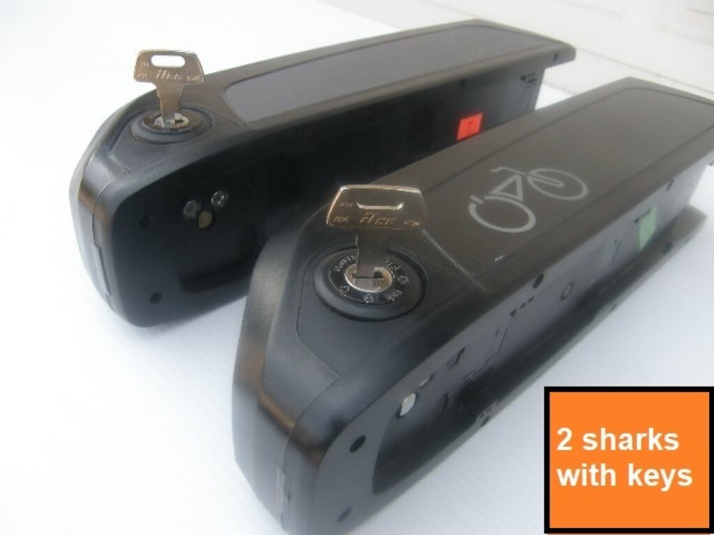 🔑RAD POWER BIKES Universal Battery Key & RAD Keychain ! 🔑