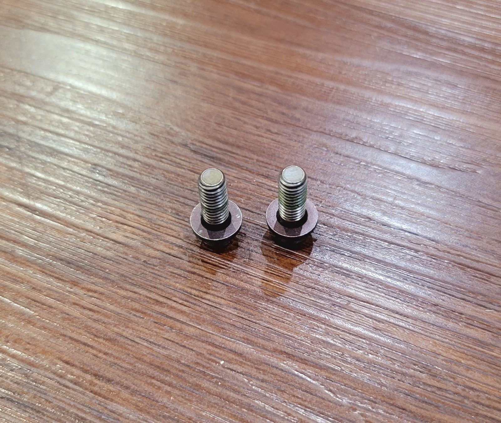 SHIMANO XTR BR-M987 Titanium Caliper Fixing Bolts – M6 x 14.6mm (2 Pcs)