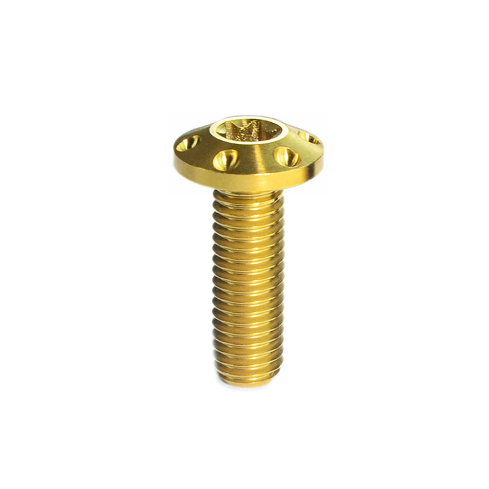 M8x20 25 30 40mm Titanium Screws Inner Torx Petal Head Motorcycle Brake Bolts