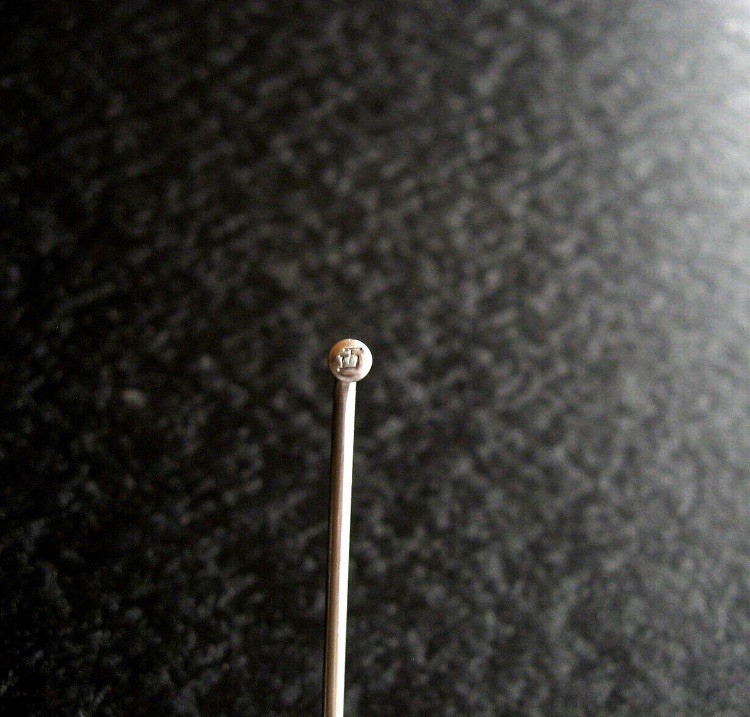 DT Swiss Champion Spoke: 2.0mm, 278mm, J-bend, Silver, Each
