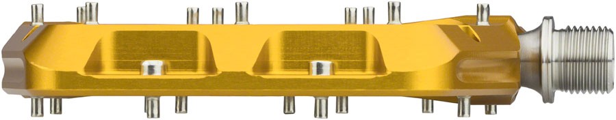 Waveform Pedals – Wolf Tooth Waveform Pedals – Gold, Large – Pedals