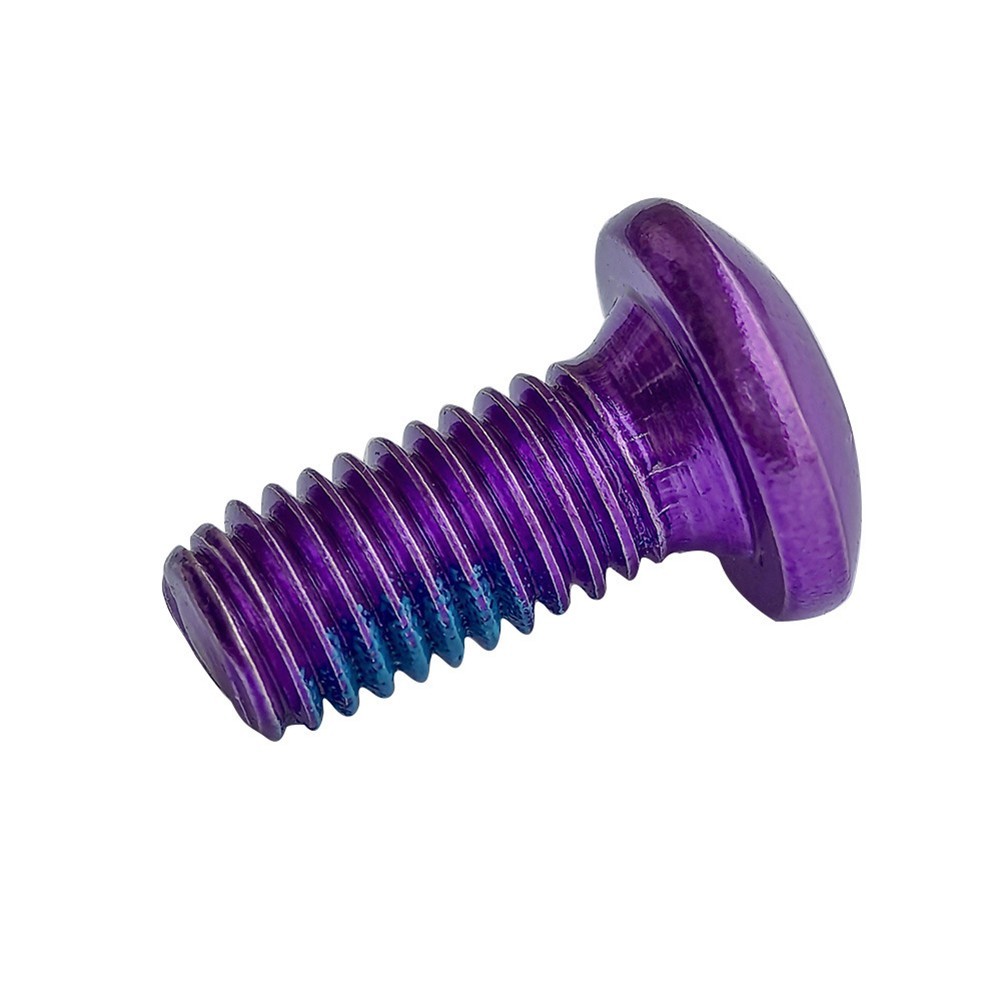 High Carbon Steel Purple T25 Screw Bolts for MTB Bike Box of 12 M5x10mm