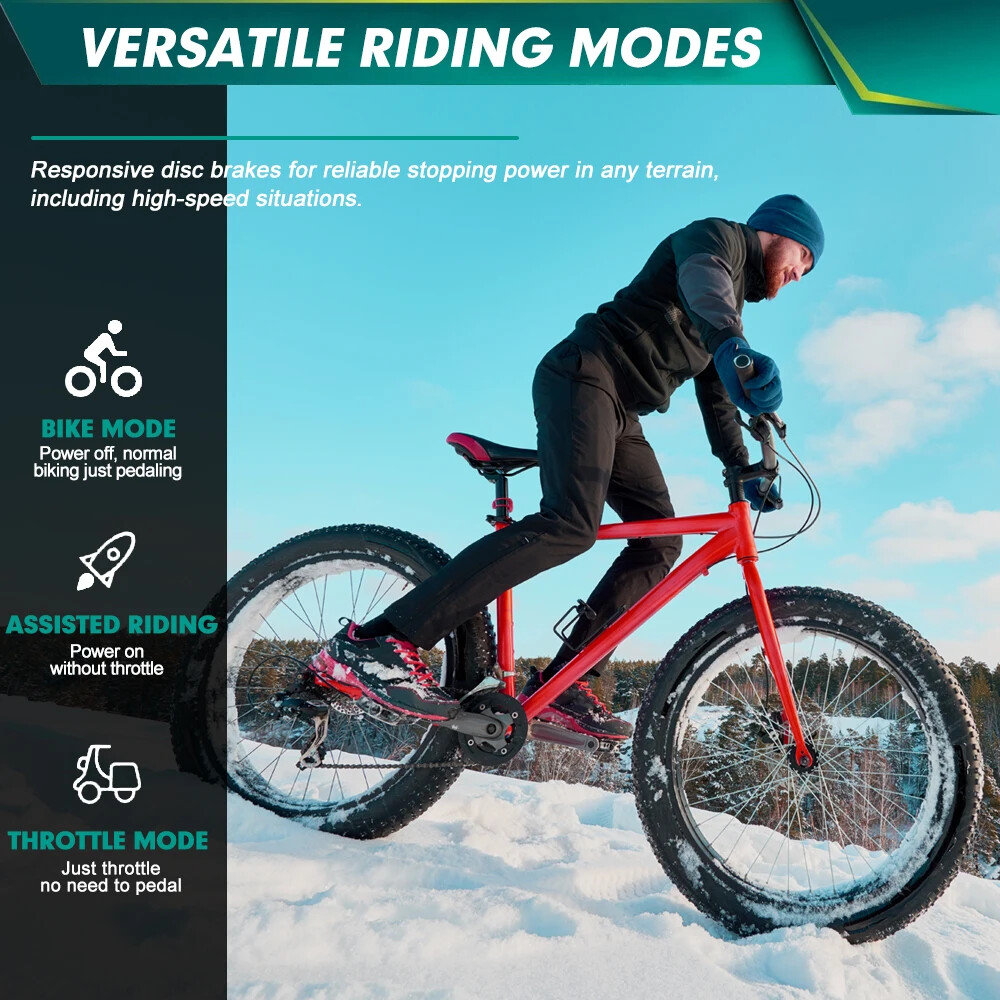 48V 1000W 20 24 26in Snow E-Bike Fat Brushless Gear Rear Rotate Hub Motor Wheel