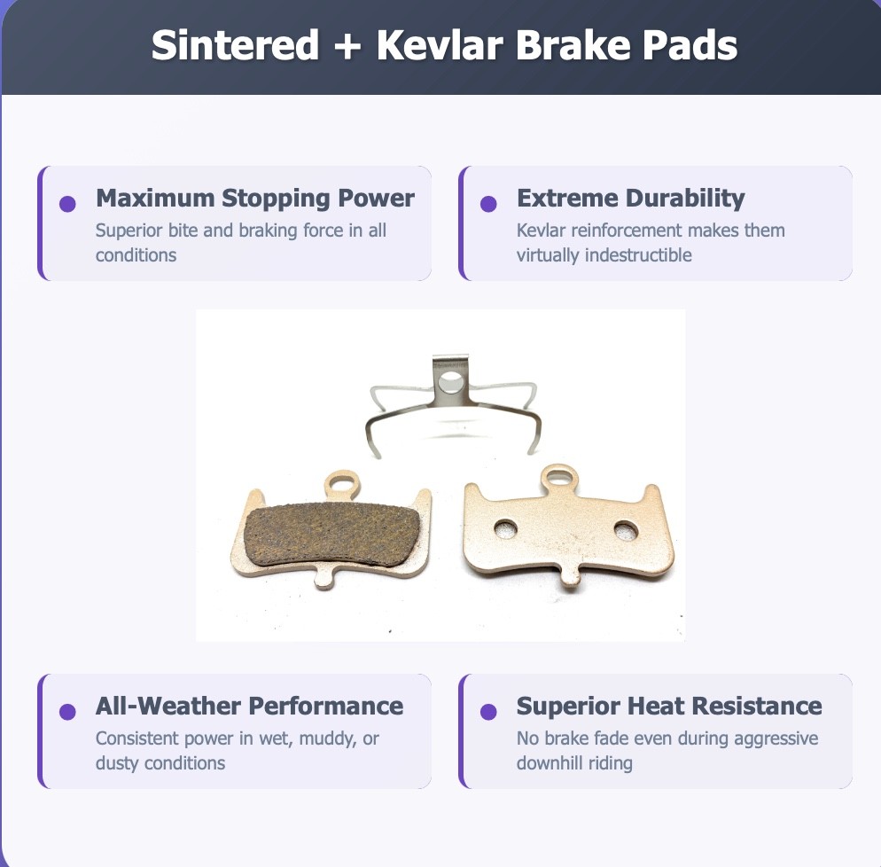 2 Bike brake pads Sintered for Hayes Hayes dominion A4, A4, 106F8355, 100G8A,