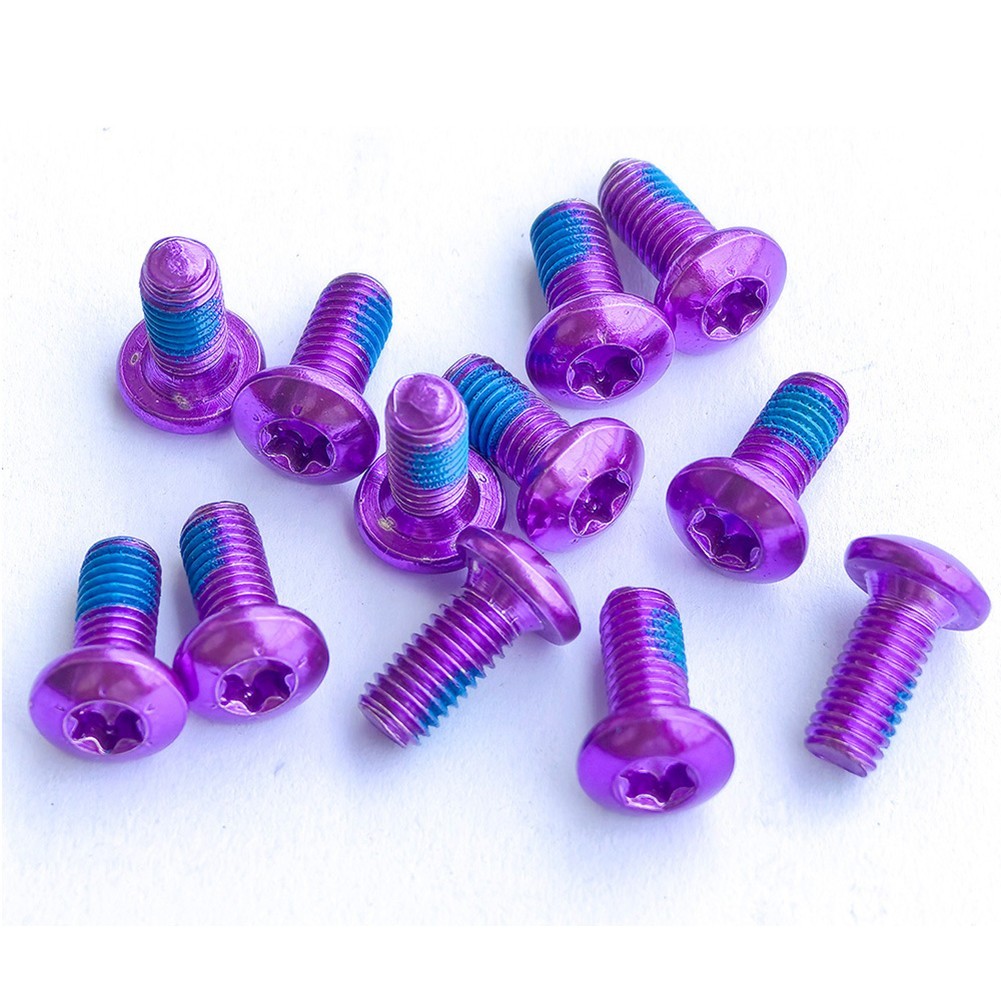High Carbon Steel M X Mm Disc Screws PCS Boxed Water Bottle Cage Screws
