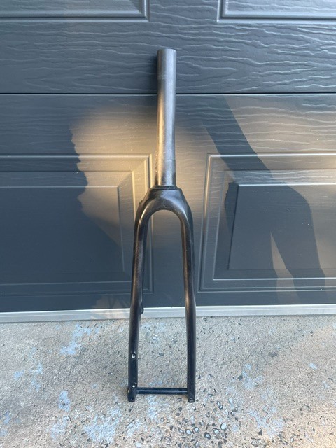 Specialize full carbon disk fork 700C 12×100 1 1/8-1 3/8 (also fit 1 1/8-1 1/4)