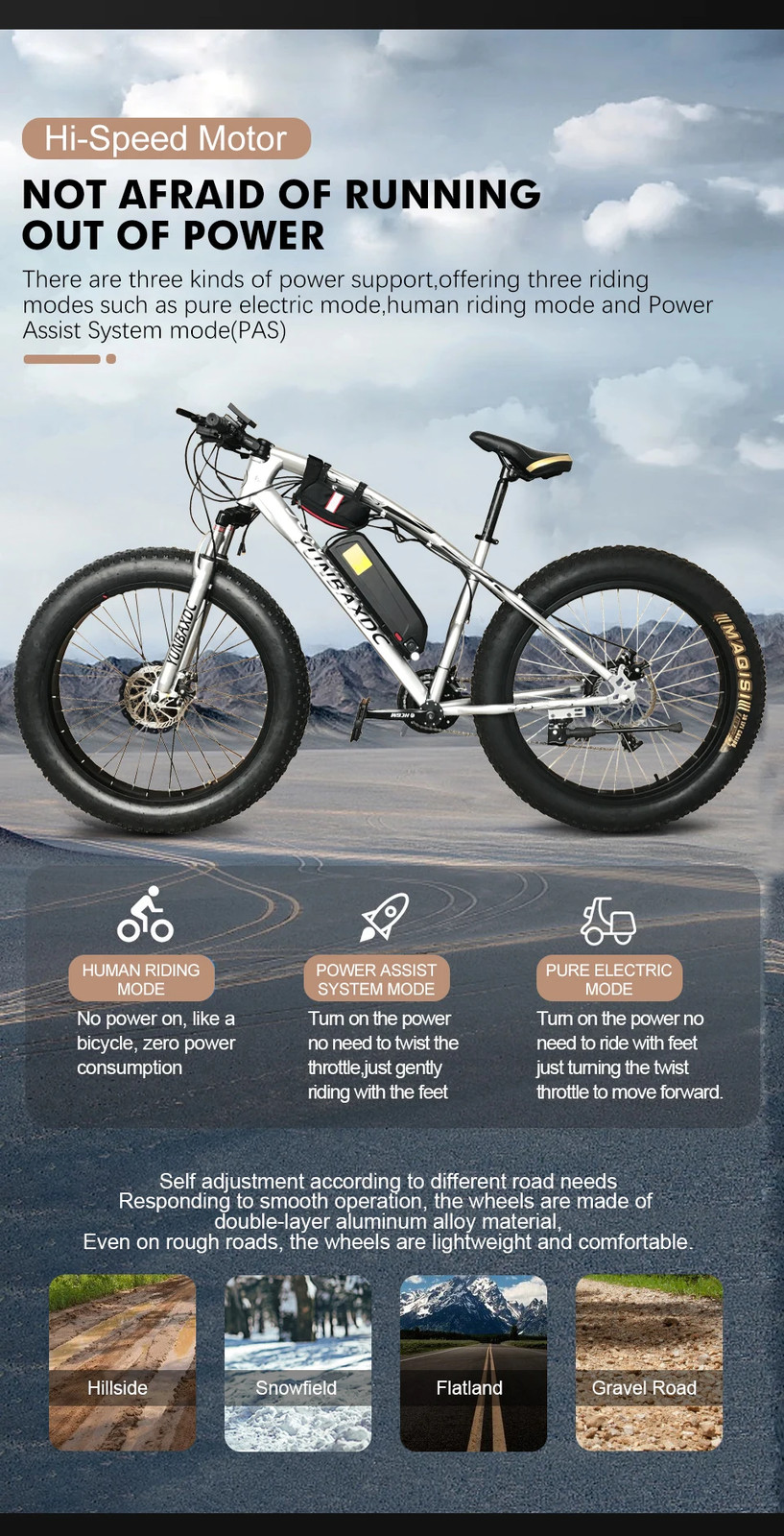 36V 48V 500W Rear Cassette Hub Motor Wheel for Snow E-bike Conversion Kit